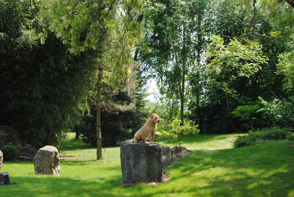 Villa Hedi Dunakiliti Buitenkant foto