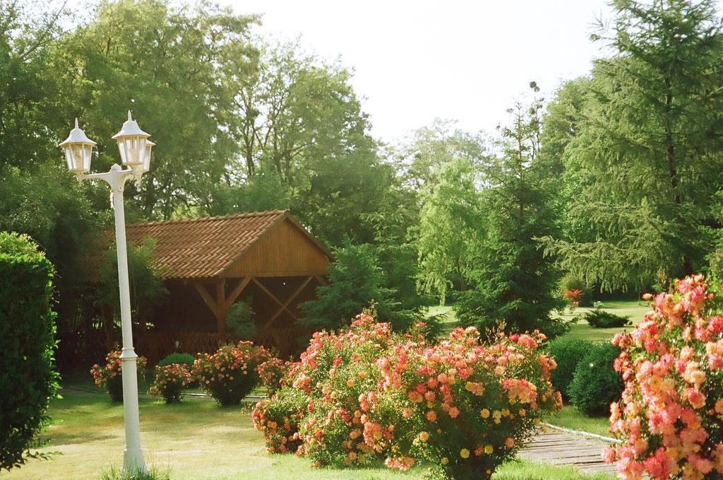 Villa Hedi Dunakiliti Buitenkant foto