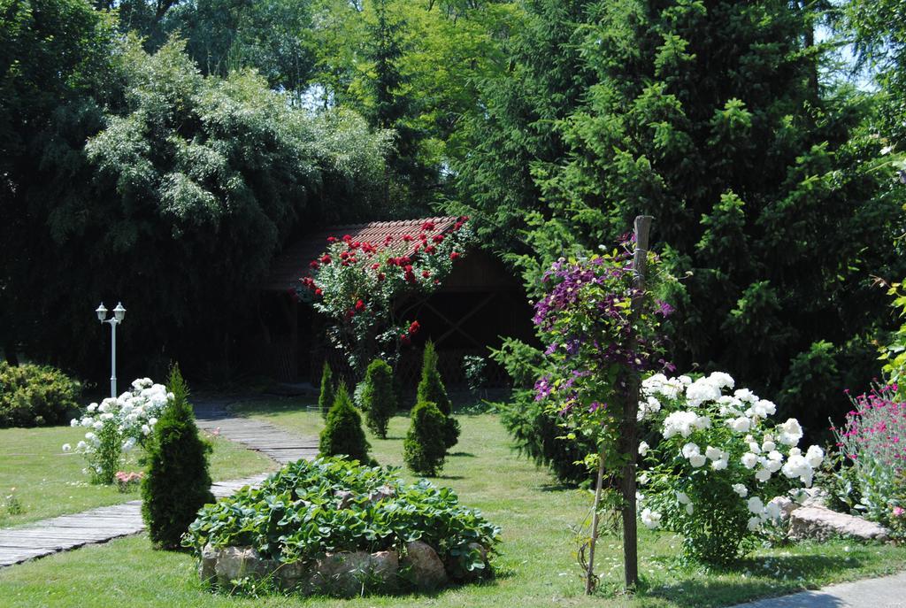 Villa Hedi Dunakiliti Buitenkant foto