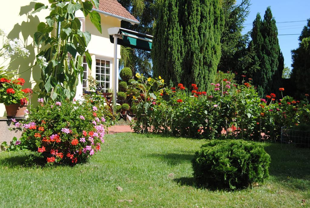 Villa Hedi Dunakiliti Buitenkant foto
