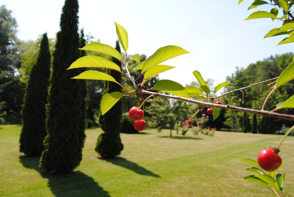 Villa Hedi Dunakiliti Buitenkant foto