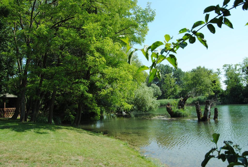 Villa Hedi Dunakiliti Buitenkant foto